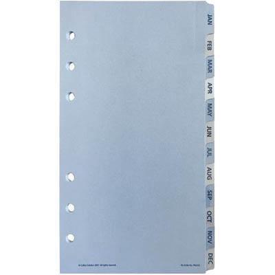 Debden Dayplanner Refill Tabs Jan-Dec Personal Size PR2010 - SuperOffice