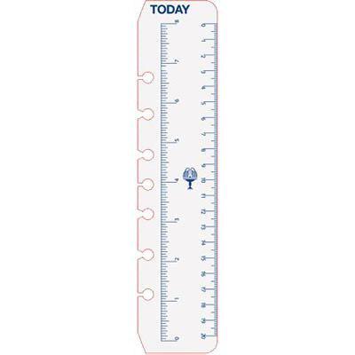 Debden Dayplanner Today Rulers Desk Size Pack 2 DK1008 - SuperOffice