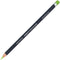 Derwent Procolour Pencil Grass Green Pack 6 2302481 - SuperOffice