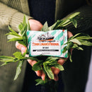 Fisherman's Friend Peppermint Sugar Free Mints 25g Box 12 5000357105576 (Peppermint) - SuperOffice